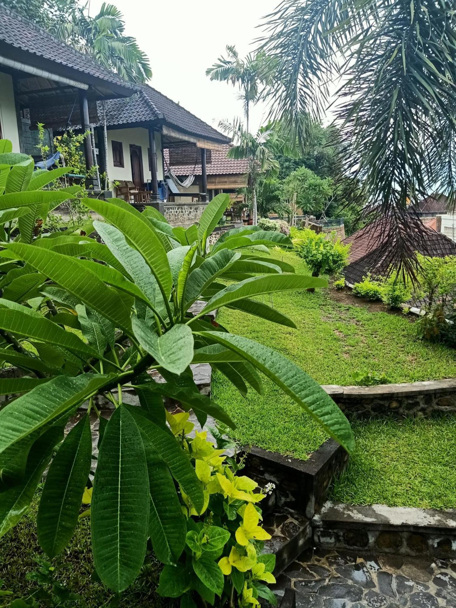 Bamboo Bali Apartment Amed Стая снимка